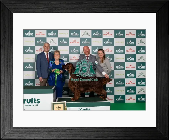 Framed Print : D-C-D-0-1-9-0 Crufts 2024 NEC Birmingham Gundog Framed Print : D-C-D-0-1-9-0 Crufts 2024 NEC Birmingham Gundog