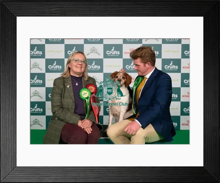 Framed Print : D-C-D-0-1-9-0 Crufts 2024 NEC Birmingham Gundog Framed Print : D-C-D-0-1-9-0 Crufts 2024 NEC Birmingham Gundog