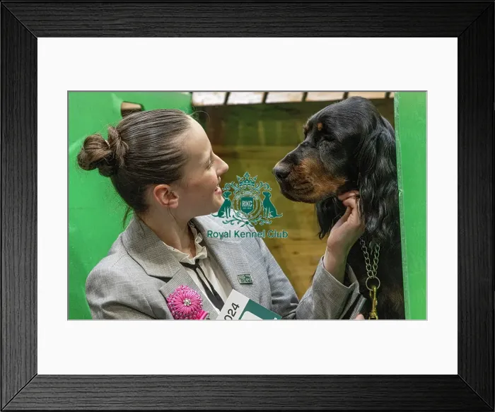 Framed Print : D-C-D-0-1-9-0 Crufts 2024 NEC Birmingham Day 2 Framed Print : D-C-D-0-1-9-0 Crufts 2024 NEC Birmingham Day 2