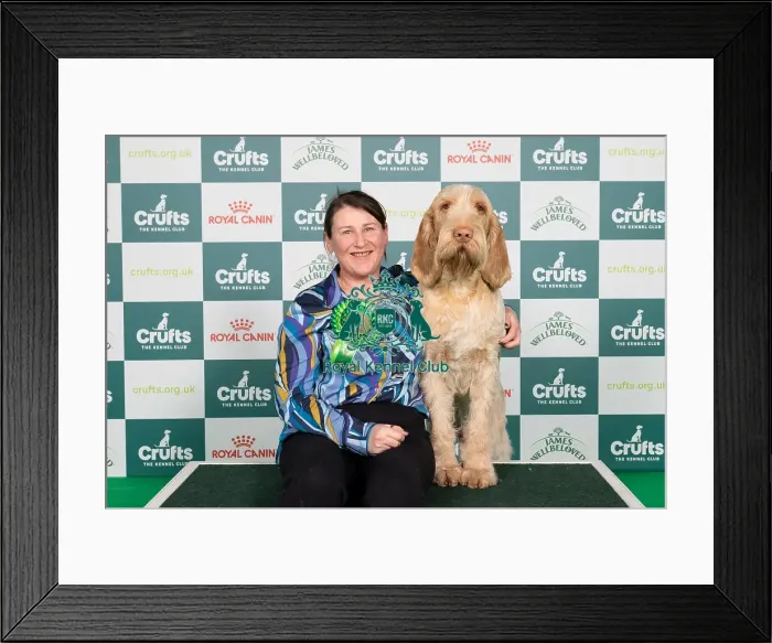 Framed Print : D-C-D-0-1-9-0 Crufts 2024 NEC Birmingham Gundog