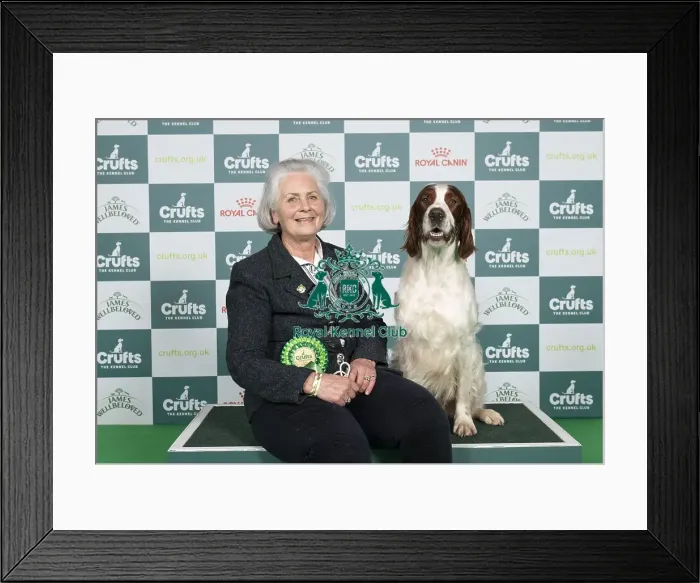 Framed Print : D-C-D-0-1-9-0 Crufts 2024 NEC Birmingham Gundog