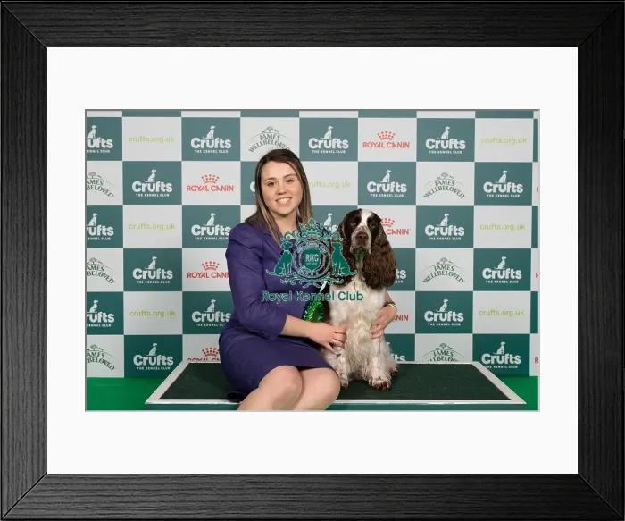 Framed Print : D-C-D-0-1-9-0 Crufts 2024 NEC Birmingham Gundog Framed Print : D-C-D-0-1-9-0 Crufts 2024 NEC Birmingham Gundog
