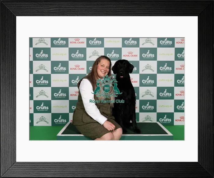Framed Print : D-C-D-0-1-9-0 Crufts 2024 NEC Birmingham Gundog Framed Print : D-C-D-0-1-9-0 Crufts 2024 NEC Birmingham Gundog