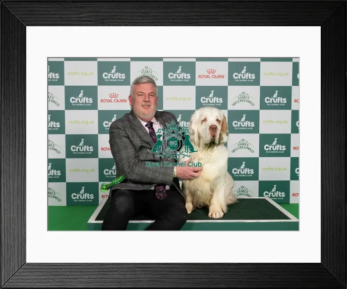 Framed Print : D-C-D-0-1-9-0 Crufts 2024 NEC Birmingham Gundog