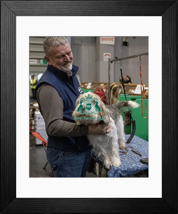 Framed Print : D-C-D-0-1-9-0 Crufts 2024 NEC Birmingham Day 2 Framed Print : D-C-D-0-1-9-0 Crufts 2024 NEC Birmingham Day 2