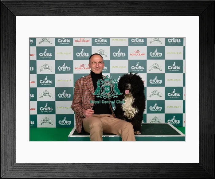 Framed Print : D-C-D-0-1-9-0 Crufts 2024 NEC Birmingham Gundog Framed Print : D-C-D-0-1-9-0 Crufts 2024 NEC Birmingham Gundog