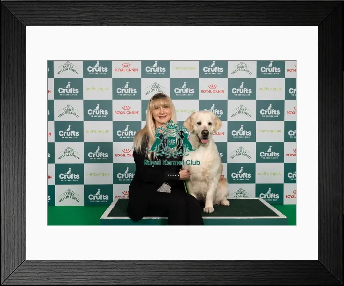 Framed Print : D-C-D-0-1-9-0 Crufts 2024 NEC Birmingham Gundog Framed Print : D-C-D-0-1-9-0 Crufts 2024 NEC Birmingham Gundog