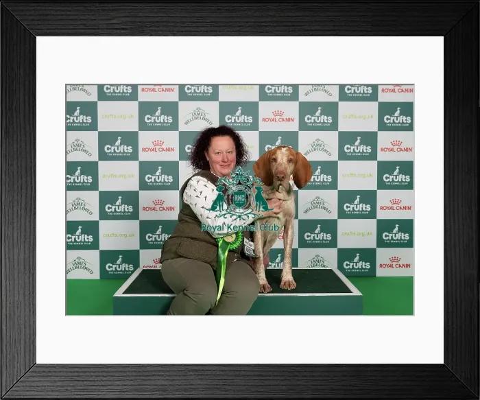 Framed Print : D-C-D-0-1-9-0 Crufts 2024 NEC Birmingham Gundog Framed Print : D-C-D-0-1-9-0 Crufts 2024 NEC Birmingham Gundog