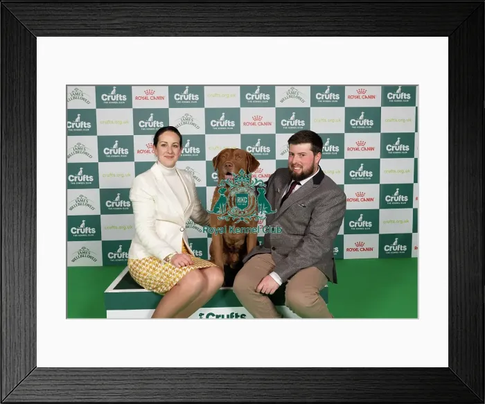 Framed Print : D-C-D-0-1-9-0 Crufts 2024 NEC Birmingham Gundog Framed Print : D-C-D-0-1-9-0 Crufts 2024 NEC Birmingham Gundog