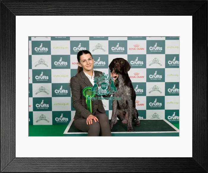 Framed Print : D-C-D-0-1-9-0 Crufts 2024 NEC Birmingham Gundog