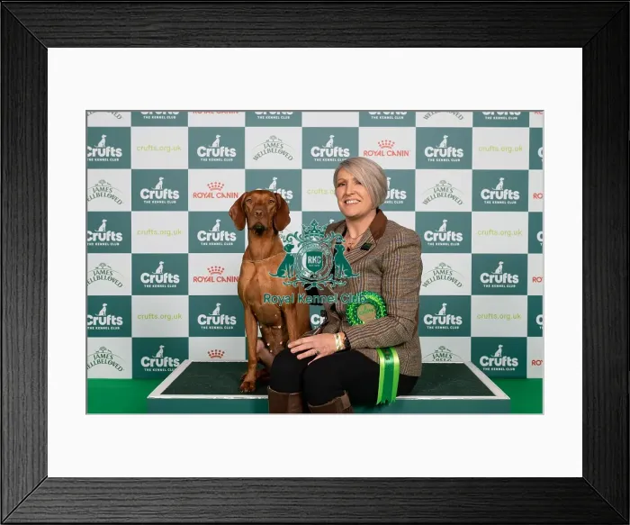 Framed Print : D-C-D-0-1-9-0 Crufts 2024 NEC Birmingham Gundog Framed Print : D-C-D-0-1-9-0 Crufts 2024 NEC Birmingham Gundog