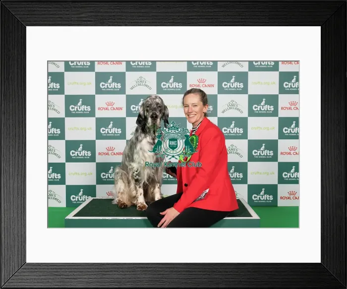 Framed Print : D-C-D-0-1-9-0 Crufts 2024 NEC Birmingham Gundog