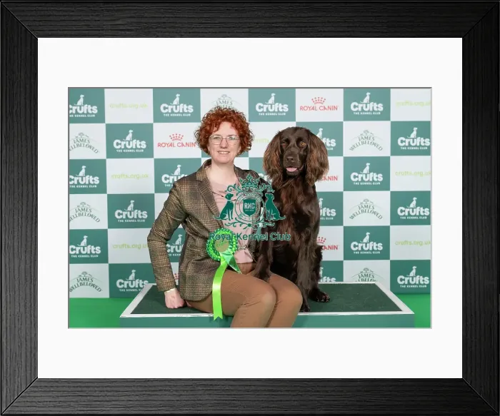 Framed Print : D-C-D-0-1-9-0 Crufts 2024 NEC Birmingham Gundog Framed Print : D-C-D-0-1-9-0 Crufts 2024 NEC Birmingham Gundog