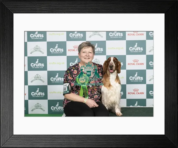 Framed Print : D-C-D-0-1-9-0 Crufts 2024 NEC Birmingham Gundog Framed Print : D-C-D-0-1-9-0 Crufts 2024 NEC Birmingham Gundog