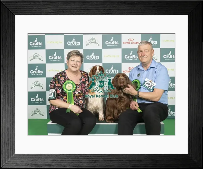 Framed Print : D-C-D-0-1-9-0 Crufts 2024 NEC Birmingham Gundog Framed Print : D-C-D-0-1-9-0 Crufts 2024 NEC Birmingham Gundog