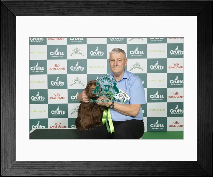 Framed Print : D-C-D-0-1-9-0 Crufts 2024 NEC Birmingham Gundog Framed Print : D-C-D-0-1-9-0 Crufts 2024 NEC Birmingham Gundog