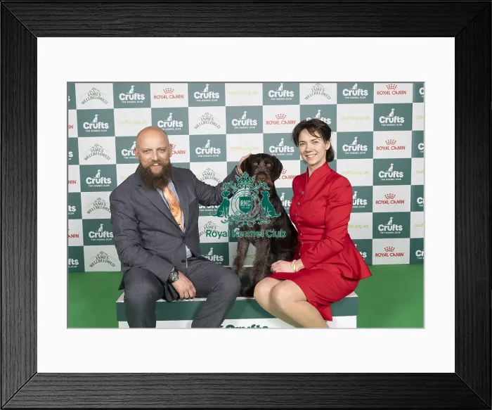 Framed Print : D-C-D-0-1-9-0 Crufts 2024 NEC Birmingham Gundog Framed Print : D-C-D-0-1-9-0 Crufts 2024 NEC Birmingham Gundog