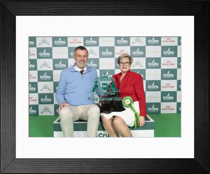 Framed Print : D-C-D-0-1-9-0 Crufts 2024 NEC Birmingham Gundog