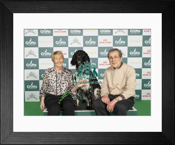Framed Print : D-C-D-0-1-9-0 Crufts 2024 NEC Birmingham Gundog Framed Print : D-C-D-0-1-9-0 Crufts 2024 NEC Birmingham Gundog