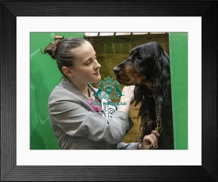 Framed Print : D-C-D-0-1-9-0 Crufts 2024 NEC Birmingham Day 2 Framed Print : D-C-D-0-1-9-0 Crufts 2024 NEC Birmingham Day 2
