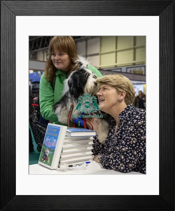 Framed Print : D-C-D-0-1-9-0 Crufts 2024 NEC Birmingham Day 2