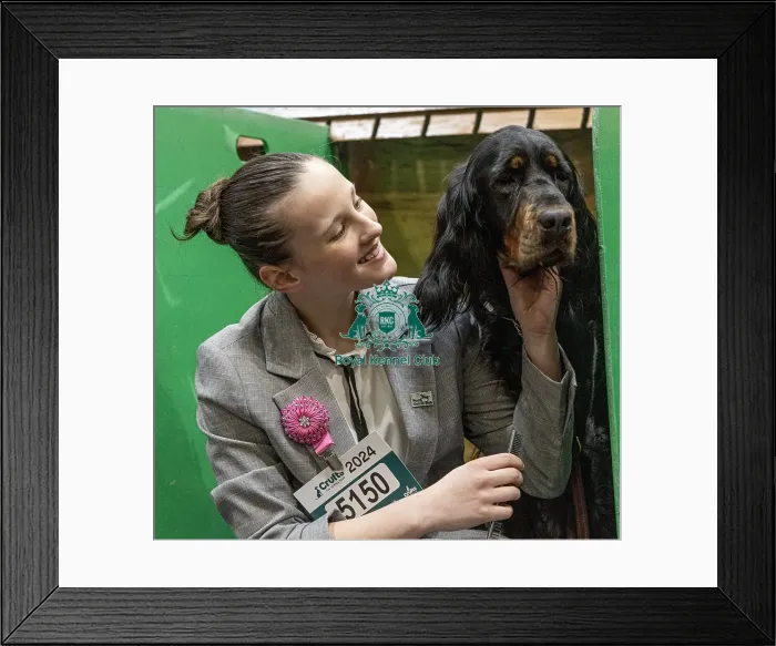 Framed Print : D-C-D-0-1-9-0 Crufts 2024 NEC Birmingham Day 2 Framed Print : D-C-D-0-1-9-0 Crufts 2024 NEC Birmingham Day 2