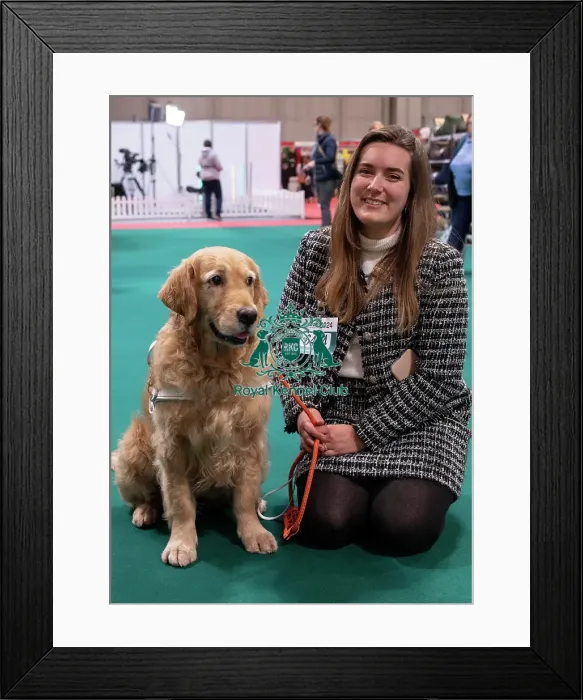 Framed Print : D-C-D-0-1-9-0 Crufts 2024 NEC Birmingham Day 2 Framed Print : D-C-D-0-1-9-0 Crufts 2024 NEC Birmingham Day 2
