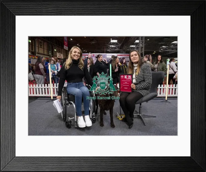 Framed Print : D-C-D-0-1-9-0 Crufts 2024 NEC Birmingham Day 2 Framed Print : D-C-D-0-1-9-0 Crufts 2024 NEC Birmingham Day 2