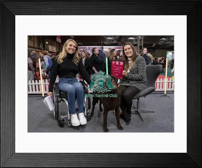 Framed Print : D-C-D-0-1-9-0 Crufts 2024 NEC Birmingham Day 2 Framed Print : D-C-D-0-1-9-0 Crufts 2024 NEC Birmingham Day 2