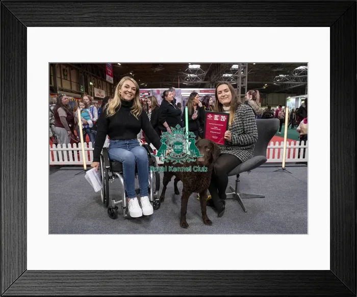 Framed Print : D-C-D-0-1-9-0 Crufts 2024 NEC Birmingham Day 2 Framed Print : D-C-D-0-1-9-0 Crufts 2024 NEC Birmingham Day 2