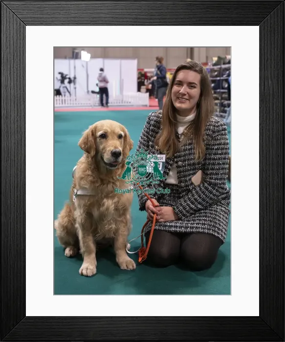 Framed Print : D-C-D-0-1-9-0 Crufts 2024 NEC Birmingham Day 2