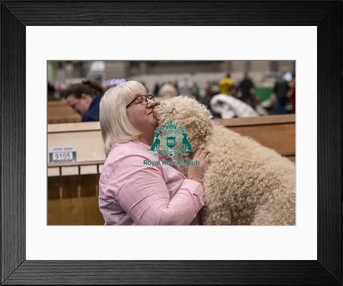 Framed Print : D-C-D-0-1-9-0 Crufts 2024 NEC Birmingham Day 2 Framed Print : D-C-D-0-1-9-0 Crufts 2024 NEC Birmingham Day 2