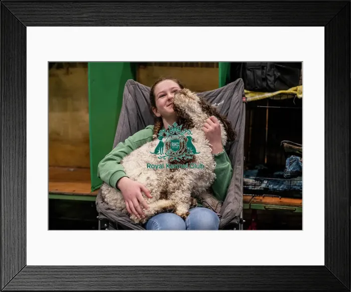 Framed Print : D-C-D-0-1-9-0 Crufts 2024 NEC Birmingham Day 2 Framed Print : D-C-D-0-1-9-0 Crufts 2024 NEC Birmingham Day 2