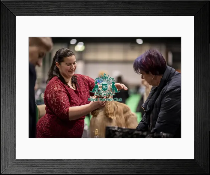 Framed Print : D-C-D-0-1-9-0 Crufts 2024 NEC Birmingham Day 2 Framed Print : D-C-D-0-1-9-0 Crufts 2024 NEC Birmingham Day 2