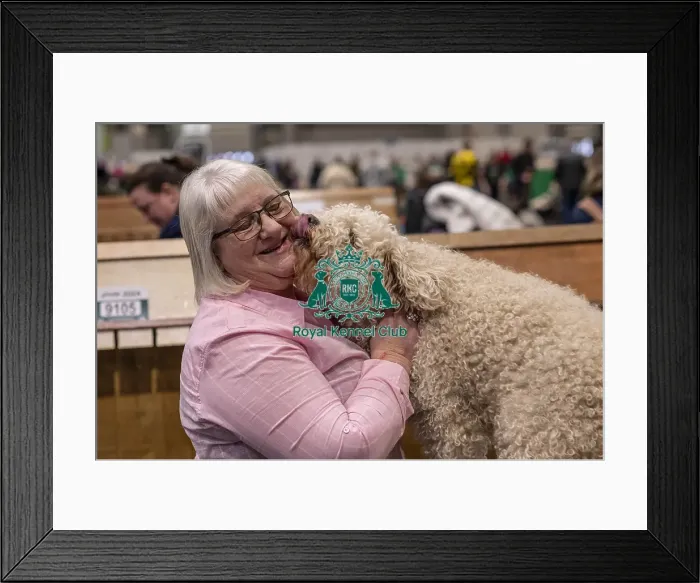 Framed Print : D-C-D-0-1-9-0 Crufts 2024 NEC Birmingham Day 2 Framed Print : D-C-D-0-1-9-0 Crufts 2024 NEC Birmingham Day 2