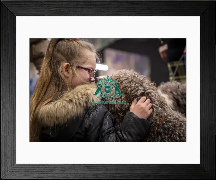 Framed Print : D-C-D-0-1-9-0 Crufts 2024 NEC Birmingham Day 2 Framed Print : D-C-D-0-1-9-0 Crufts 2024 NEC Birmingham Day 2