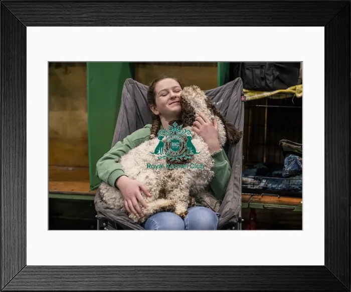 Framed Print : D-C-D-0-1-9-0 Crufts 2024 NEC Birmingham Day 2 Framed Print : D-C-D-0-1-9-0 Crufts 2024 NEC Birmingham Day 2
