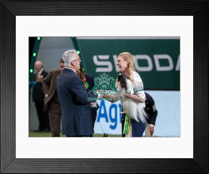 Framed Print : D-C-D-0-1-9-0 Crufts 2024 NEC Birmingham Day 1 Framed Print : D-C-D-0-1-9-0 Crufts 2024 NEC Birmingham Day 1