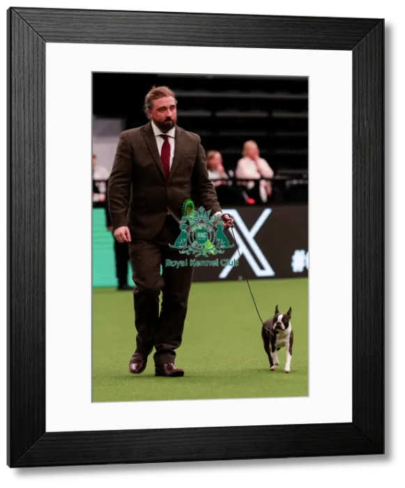 Framed Print : D-C-D-0-1-9-0 Crufts 2024 NEC Birmingham Utility