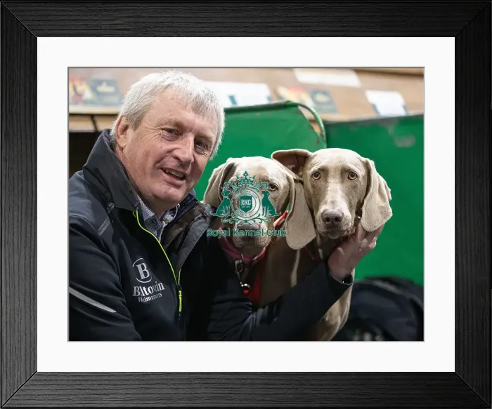 Framed Print : D-C-D-0-1-9-0 Crufts 2024 NEC Birmingham Day 2 Framed Print : D-C-D-0-1-9-0 Crufts 2024 NEC Birmingham Day 2