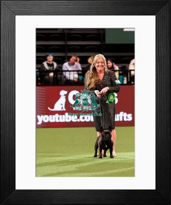 Framed Print : D-C-D-0-1-9-0 Crufts 2024 NEC Birmingham Utility