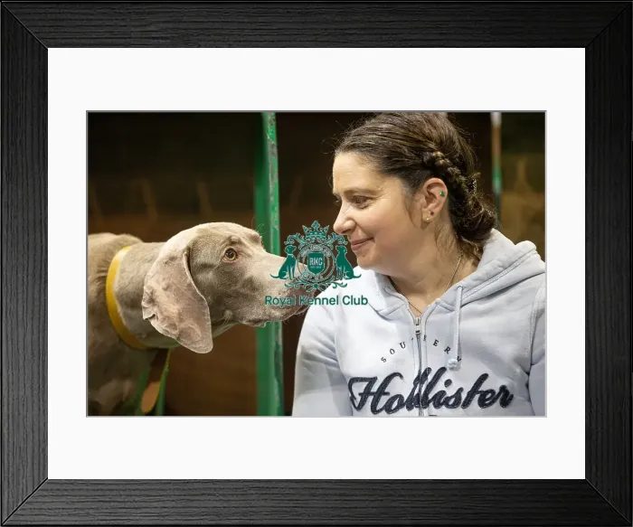 Framed Print : D-C-D-0-1-9-0 Crufts 2024 NEC Birmingham Day 2 Framed Print : D-C-D-0-1-9-0 Crufts 2024 NEC Birmingham Day 2