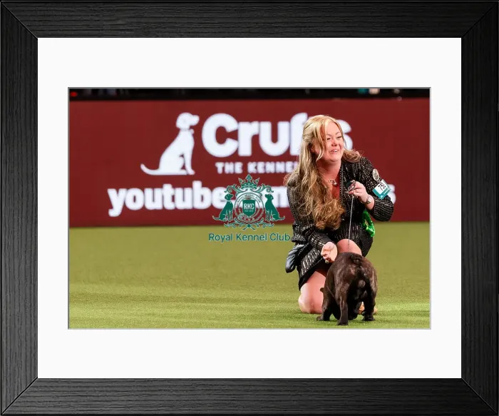 Framed Print : D-C-D-0-1-9-0 Crufts 2024 NEC Birmingham Utility
