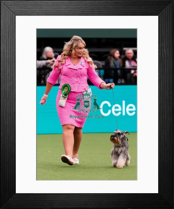 Framed Print : D-C-D-0-1-9-0 Crufts 2024 NEC Birmingham Utility Framed Print : D-C-D-0-1-9-0 Crufts 2024 NEC Birmingham Utility