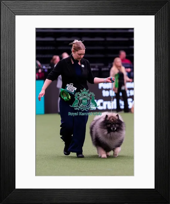 Framed Print : D-C-D-0-1-9-0 Crufts 2024 NEC Birmingham Utility Framed Print : D-C-D-0-1-9-0 Crufts 2024 NEC Birmingham Utility