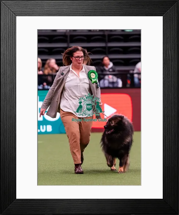 Framed Print : D-C-D-0-1-9-0 Crufts 2024 NEC Birmingham Utility Framed Print : D-C-D-0-1-9-0 Crufts 2024 NEC Birmingham Utility