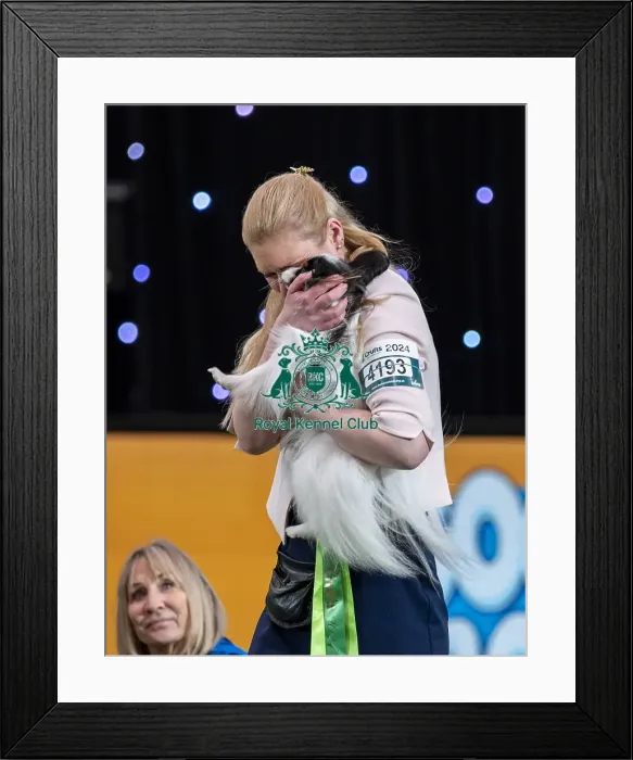 Framed Print : D-C-D-0-1-9-0 Crufts 2024 NEC Birmingham Day 1 Framed Print : D-C-D-0-1-9-0 Crufts 2024 NEC Birmingham Day 1