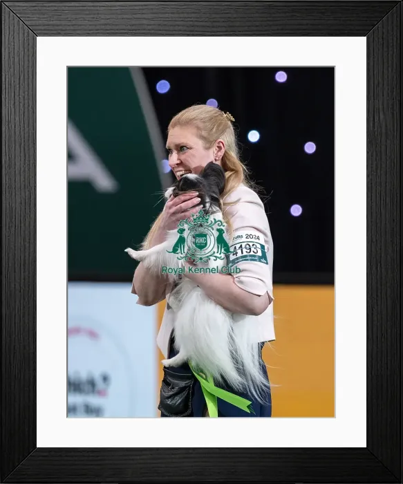 Framed Print : D-C-D-0-1-9-0 Crufts 2024 NEC Birmingham Day 1 Framed Print : D-C-D-0-1-9-0 Crufts 2024 NEC Birmingham Day 1