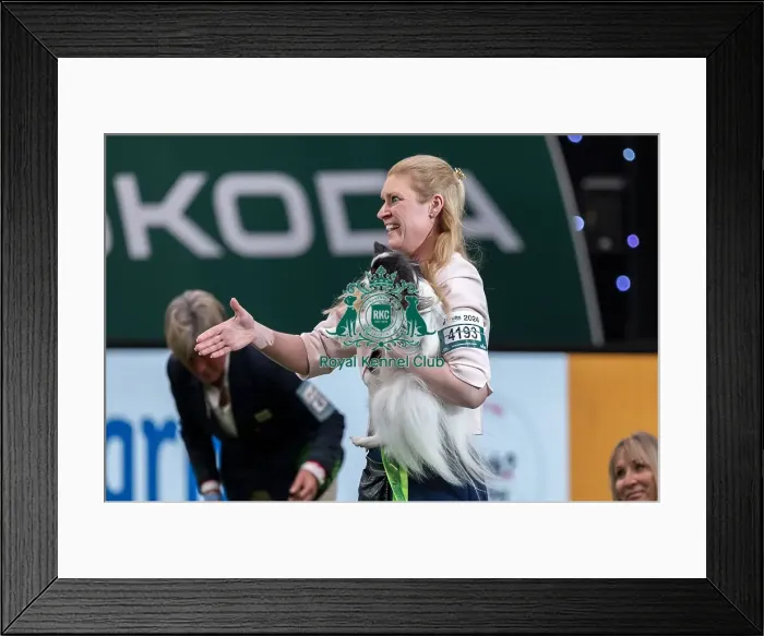 Framed Print : D-C-D-0-1-9-0 Crufts 2024 NEC Birmingham Day 1 Framed Print : D-C-D-0-1-9-0 Crufts 2024 NEC Birmingham Day 1
