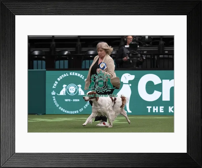 Framed Print : D-C-D-0-1-9-0 Crufts 2024 NEC Birmingham Day 1